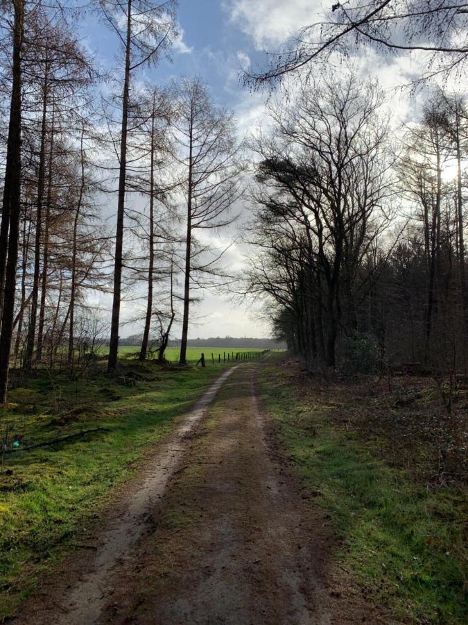 Norg 'T Holten Huus - Puur Genieten In Het Bos. מראה חיצוני תמונה