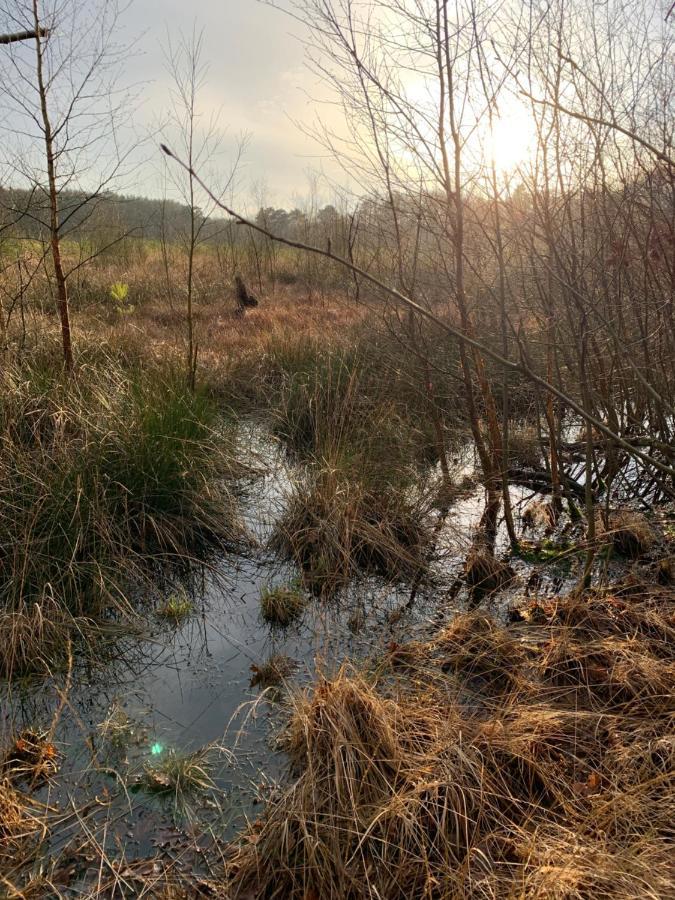 Norg 'T Holten Huus - Puur Genieten In Het Bos. מראה חיצוני תמונה